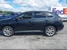 Lexus RX Image 2