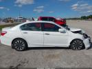 Honda Accord Touring Image 10