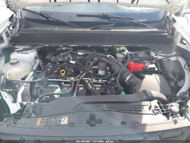 Ford Maverick Xl Image 3