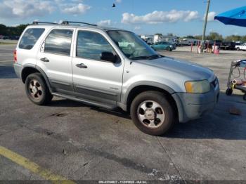  Salvage Ford Escape