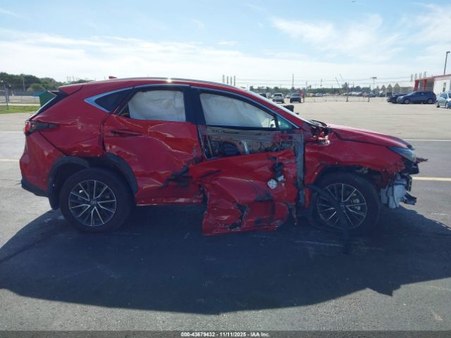 Lexus NX Premium Image 5