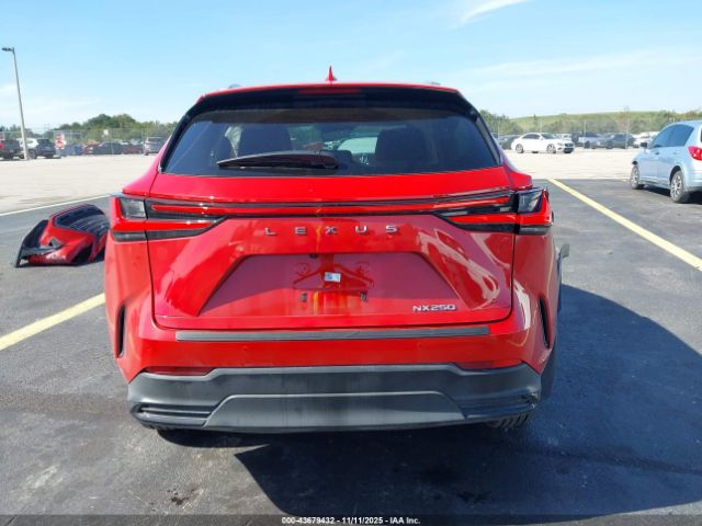 Lexus NX Premium Image 3