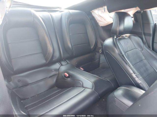 Ford Mustang Ecoboost Image 10