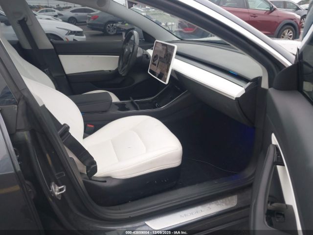 Tesla Model 3 Image 6