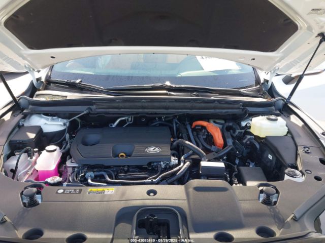 Lexus RX Premium Image 12