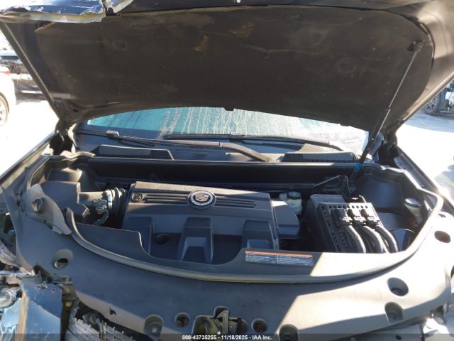 Cadillac SRX Luxury Collection Image 10