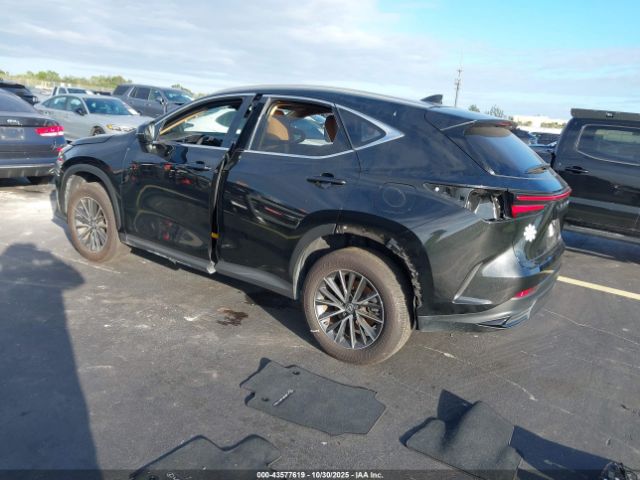Lexus NX Image 15