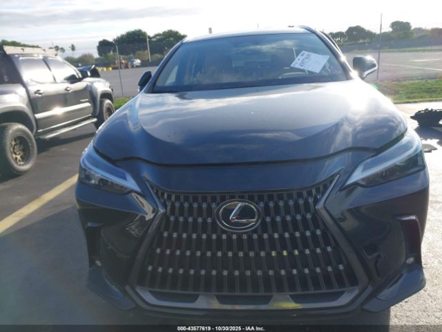 Lexus NX Image 7