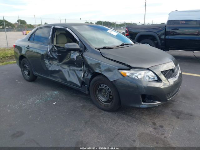 Toyota Corolla Le Image 1