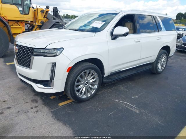 Cadillac Escalade 4wd Premium Luxury Image 3