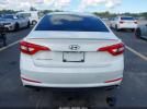 Hyundai SONATA Image 14