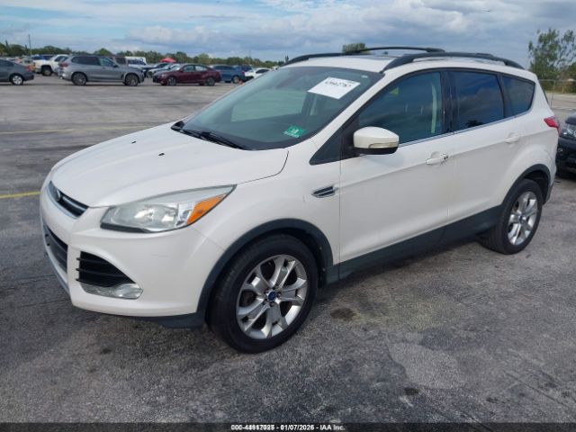 Ford Escape Sel Image 3