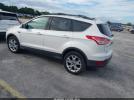 Ford Escape Sel Image 5