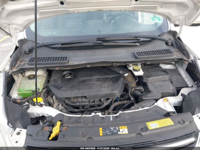 Ford Escape Sel Image 8