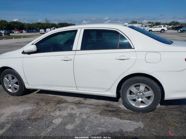 Toyota Corolla Le Image 5