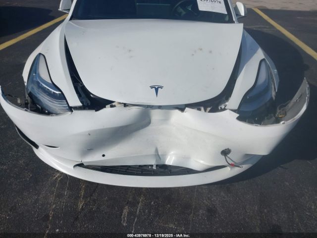 Tesla Model 3 Image 5