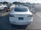 Tesla Model 3 Image 8